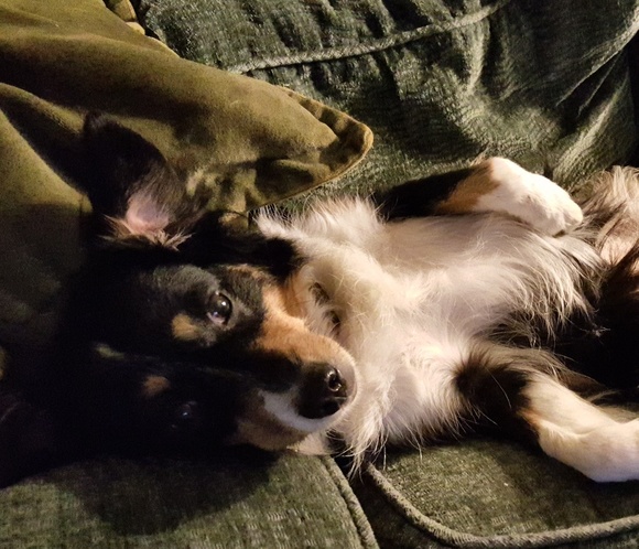 Meet your Posher, Michelle - Picture 4 of 8